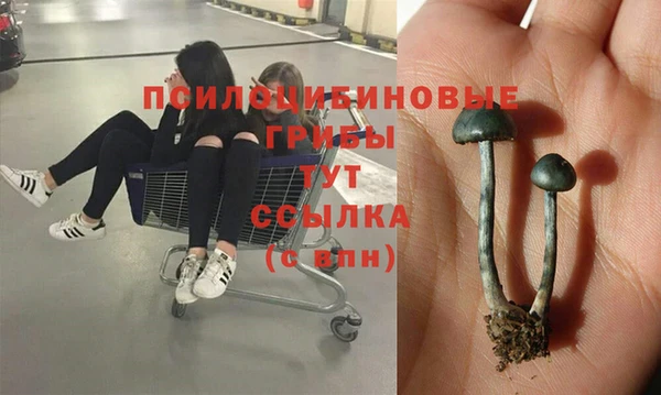 MDMA Premium VHQ Алзамай