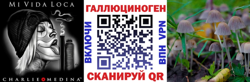 Псилоцибиновые грибы MAGIC MUSHROOMS  Купить закладки  Камышлов 