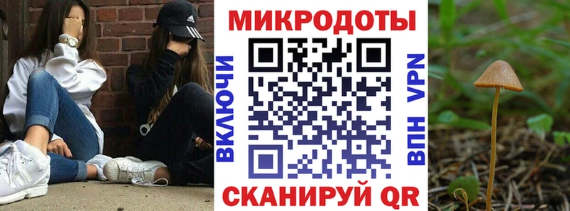 Псилоцибиновые грибы прущие грибы Камышлов