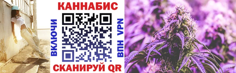 МАРИХУАНА ГИДРОПОН Камышлов